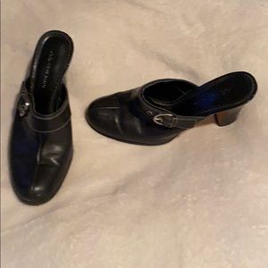 Aj Anne Klein shoes